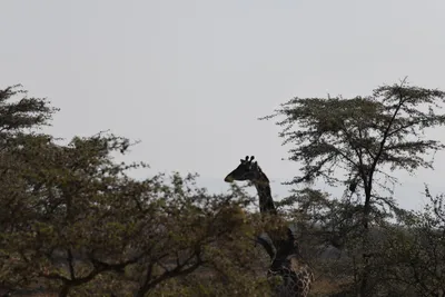 DSC_3430 (Large).JPG